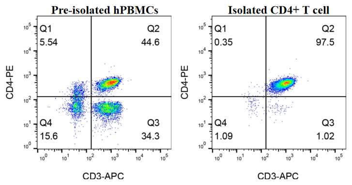 Isolation of Human CD4+ T Cells Using SOLIDEX®-ISOEx Untouched Human CD4+ T Cell Isolation Kit (Column-based).